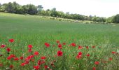 Trail Walking Artignosc-sur-Verdon - Artignosc Chemin de l eau  - Photo 5