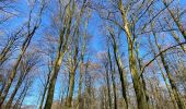 Tour Wandern Merchtem - GR126 : Merchtem - Mariekerke - Photo 2