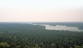 Tour Zu Fuß Unbekannt - Wanderlehrpfad Teufelssee - Photo 10