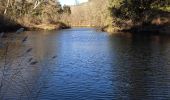 Tour Wandern Le Thoronet - Le Thoronet- Canal de Ste Croix - Argens - Photo 17