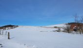 Tocht Stappen Lepuix - Malvaux - Ballon d'Alsace (15/12 au 15/7) - Photo 9