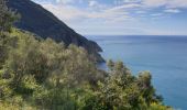 Tocht Stappen Levanto - levanto-manarossa - Photo 3