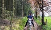 Tocht Paardrijden Bastenaken - La Strange - Photo 2