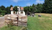 Percorso Marcia Barr - Autour de la vallée de la Kirneck - Photo 6