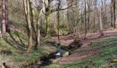 Tocht Stappen Esneux - autour du Cortil et des Sept Collines  - Photo 7