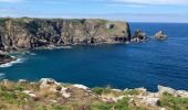 Trail Walking Cléden-Cap-Sizun - Pointe du Van - Photo 16