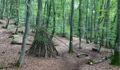 Randonnée Marche Ernzen - Balade Ernzen Allemagne  - Photo 14