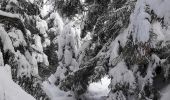 Tocht Sneeuwschoenen Modane - Loutraz Amodon - Photo 8