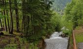 Tocht Stappen Chamonix-Mont-Blanc - Chamonix La Cascade du dard  - Photo 5