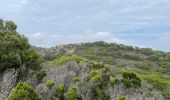 Tocht Stappen Hyères - Porquerolles - Photo 14