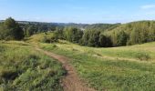 Trail Walking Andenne - Seilles - Balade du chant d'oiseau n° 6 (AD28) - Photo 2