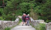 Trail Walking Rougon - Rancoumas - Photo 12
