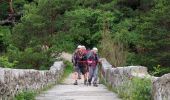 Tocht Stappen Rougon - Rancoumas - Photo 12