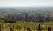 Tour Wandern Dambach - Dambach - châteaux du Bernstein, de l'Ortenbourg et du Ramstein - Photo 5