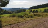 Randonnée Vélo électrique La Bresse - petit tour de la bresse - Photo 6