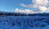 Trail Walking Spa - berinzenne entre forêt et fagne  - Photo 15