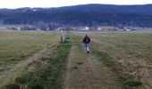 Randonnée Marche Autrans-Méaudre en Vercors - Chemin court des Lauzets - Photo 7