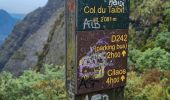 Trail Walking La Possession - Jour 5 la Réunion  - Photo 10