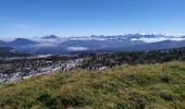 Tour Wandern Fillière - la tête du Parmeka  - Photo 1