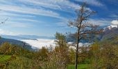 Trail On foot Brallo di Pregola - Anello della Montagnola - Photo 2