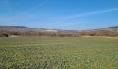 Trail Walking Courtemont-Varennes - Courtemont-Varennes du 18-02-2025 - Photo 2