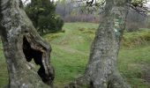 Tour Zu Fuß Košařiska - NS Po stopách salašnictví - Photo 4