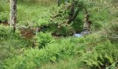 Randonnée Marche Mont Lozère et Goulet - le Bleymard  - Photo 3