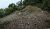 Trail On foot Unknown - 鴨沢-雲取山登山道 - Photo 1