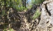 Tour Wandern Sant Ferriol - besaliu 190724 - Photo 15