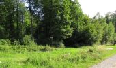 Tocht Stappen Dampleux - en forêt de Retz_82_sur les Routes de la Bruyère aux Loups et de la Chrétiennette - Photo 5
