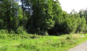 Randonnée Marche Dampleux - en forêt de Retz_82_sur les Routes de la Bruyère aux Loups et de la Chrétiennette - Photo 5