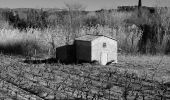 Percorso Marcia Les Arcs-sur-Argens - Les Arcs - Forêt Apiès depuis Pont d'Aille - Photo 10