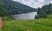 Tour Wandern Sulzern - Rando des APAVIENS..28/06/2024 - Photo 3