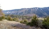 Trail Walking La Chapelle-en-Vercors - Le tour de la Chapelle en Vercors - Photo 3