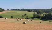 Tocht Stappen Williers - rando chameleux 22-08-2024 - Photo 13