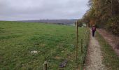 Tour Wandern Saint-Hubert - Awenne (Saint-Hubert)  - Photo 6
