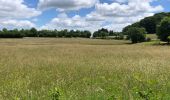 Tour Wandern Chapdes-Beaufort - Le Mazal ,le chemin fais’art, la vierge de Beaufort  - Photo 13