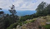 Tour Wandern Sahorre - Haut Cady_col de Jou_Mora_Mariailles_T - Photo 7