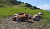 Trail Walking Gemeinde Patsch - Patscherko - Photo 1