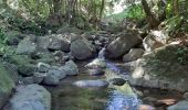 Randonnée Marche Grand'Rivière - Boucle Fonds Moulin - Photo 12