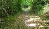 Randonnée Marche Reugny - Découverte de la commune de Reugny - Photo 12