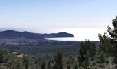 Tour Wandern Ceyreste - Grand Caunet, télégraphe, revers du Bosquié - Photo 1