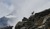 Tour Wandern Aussois - Plan d'amont d'Aussois, Refuge Fond d'Aussois, Pointe de l'Observatoire - Photo 7