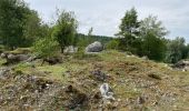 Percorso Marcia Aubange - Bois d’Halanzy et réserve naturelle de Musson - Photo 2