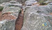 Trail Walking Fontainebleau - Fontainebleau - Sentier des carriers - Photo 18