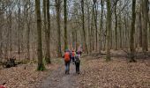 Tocht Stappen Hoeilaart - Forêt de Soignes - Photo 1