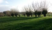 Trail On foot Poperinge - Zevekotepad Reningelst - Photo 10