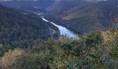 Tocht Stappen Vianden - vianden  .  bivels  .  vianden - Photo 5