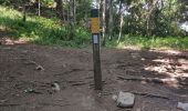 Tocht Stappen Autrans-Méaudre en Vercors - la Buffe - Photo 1