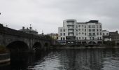 Trail On foot The Municipal District of Athlone — Moate - Shannon Banks Nature Trail - Photo 3